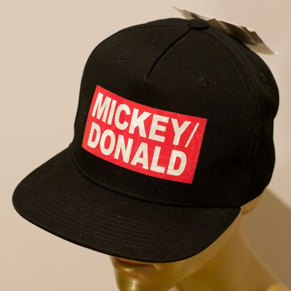 Tokyo Disneyland Hat